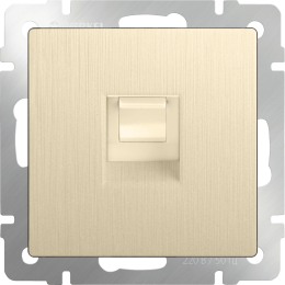 W1181010 Розетка Ethernet RJ-45 (шампань рифленый) Antik Werkel a051424