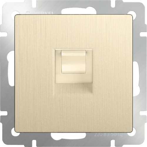 W1181010 Розетка Ethernet RJ-45 (шампань рифленый) Antik Werkel a051424