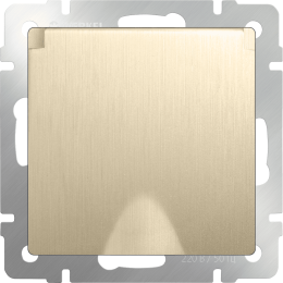 W1171210 Розетка влагозащ. с зазем. с защит. крышкой и шторками (шампань рифленый) Antik Werkel a051416