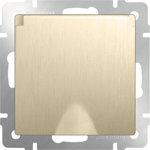 W1171210 Розетка влагозащ. с зазем. с защит. крышкой и шторками (шампань рифленый) Antik Werkel a051416