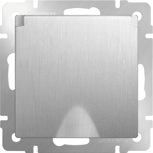 W1171209 Розетка влагозащ. с зазем. с защит. крышкой и шторками (cеребряный рифленый) Antik Werkel a051366