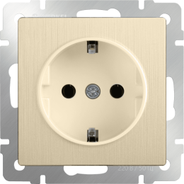 W1171010 Розетка с заземлением (шампань рифленый) Antik Werkel a051434