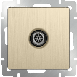 W1183010 ТВ-розетка оконечная  (шампань рифленый) Antik Werkel a051427