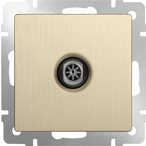 W1183010 ТВ-розетка оконечная  (шампань рифленый) Antik Werkel a051427