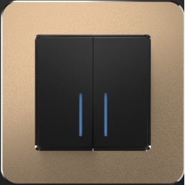 W0012611 Рамка на 1 пост (шампань) Platinum Werkel a059210