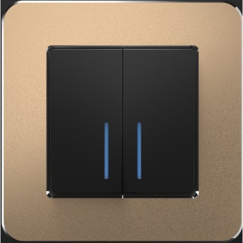 W0012611 Рамка на 1 пост (шампань) Platinum Werkel a059210