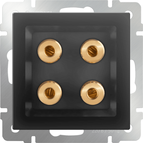 W1185008 Акустическая розетка (черный матовый) Antik Werkel a051614