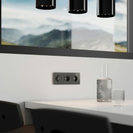 W1142044 Диммер (графит акрил) Werkel a064094