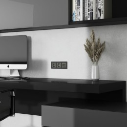 W1191144 Накладка для двойной розетки Еthernet RJ-45 (графит акрил) Werkel a064099