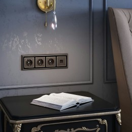 W1191212 Накладка для RJ45 и RJ11 (бронзовый) Werkel a051063