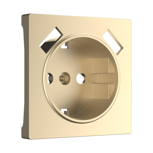 W1179511 Накладка для USB розетки (шампань) Antik Werkel a050854