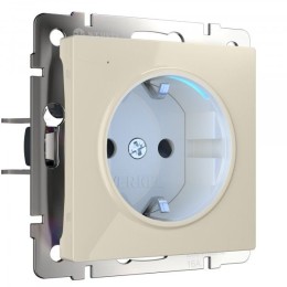 W1171403 Розетка с подсветкой слоновая кость Werkel a054522