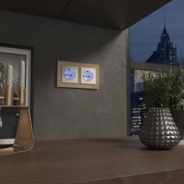 W1171403 Розетка с подсветкой слоновая кость Werkel a054522