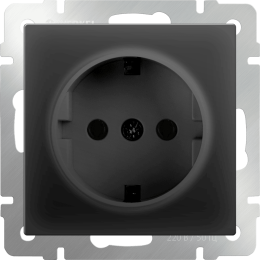 W1171008 Розетка с заземлением  (черный матовый) Antik Werkel a051600