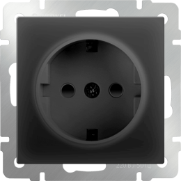 W1171108 Розетка с заземлением и шторками  (черный матовый) Antik Werkel a051622