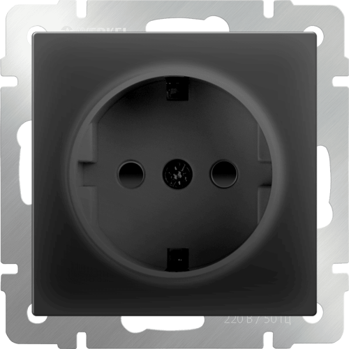 W1171108 Розетка с заземлением и шторками  (черный матовый) Antik Werkel a051622