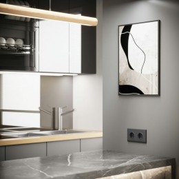 W1171164 Розетка с заземлением и шторками (графит матовый) Werkel a063104