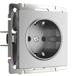 W1171165 Розетка с заземлением и шторками (серебряный матовый) Werkel a063613