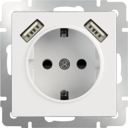 W1171501 Розетка с заземлением, шторками и USBх2 (белая) Antik Werkel a051141