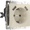 W1171503 Розетка с заземлением, шторками и USBх2 (слоновая кость) Antik Werkel a051486