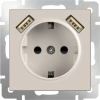 W1171503 Розетка с заземлением, шторками и USBх2 (слоновая кость) Antik Werkel a051486