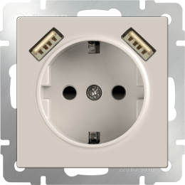 W1171503 Розетка с заземлением, шторками и USBх2 (слоновая кость) Antik Werkel a051486