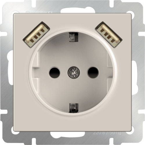 W1171503 Розетка с заземлением, шторками и USBх2 (слоновая кость) Antik Werkel a051486