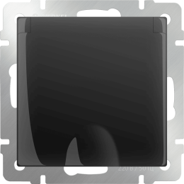 W1171208 Розетка влагозащ. с зазем. с защит. крышкой и шторками  (черный матовый) Antik Werkel a051610
