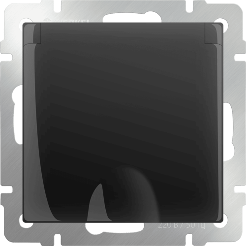 W1171208 Розетка влагозащ. с зазем. с защит. крышкой и шторками  (черный матовый) Antik Werkel a051610