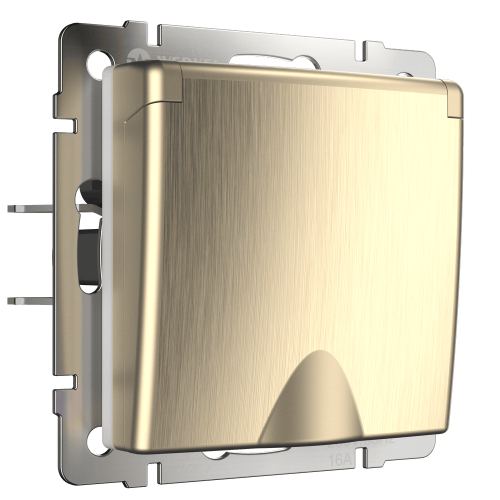 W1171210 Розетка влагозащ. с зазем. с защит. крышкой и шторками (шампань рифленый) Antik Werkel a051416