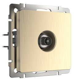 W1183010 ТВ-розетка оконечная  (шампань рифленый) Antik Werkel a051427