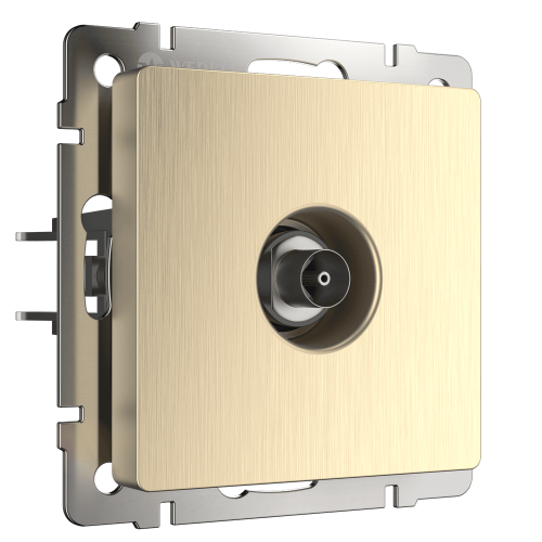 W1183010 ТВ-розетка оконечная  (шампань рифленый) Antik Werkel a051427