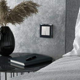 W1120161 Выключатель двухклавишный с подсветкой (белый матовый) Antik Werkel a059273