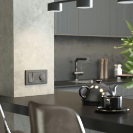 W1120164 Выключатель двухклавишный с подсветкой (графит матовый) Werkel a063099