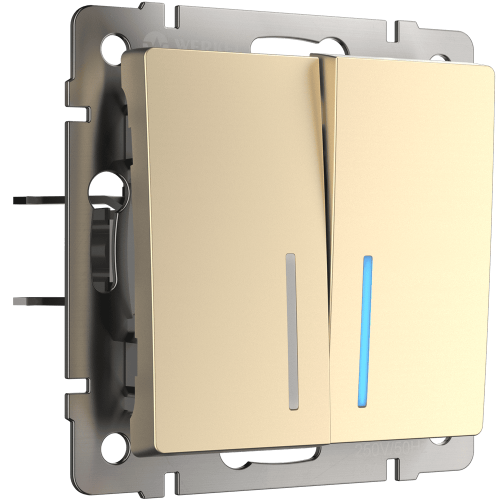 W1120111 Выключатель двухклавишный с подсветкой (шампань) Antik Werkel a050859