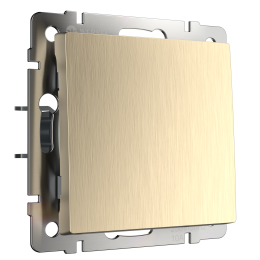 W1110010 Выключатель одноклавишный (шампань рифленый) Antik Werkel a051426