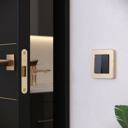 W0012611 Рамка на 1 пост (шампань) Platinum Werkel a059210