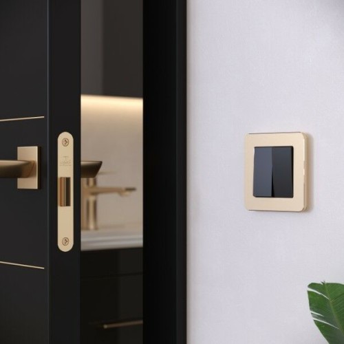 W0012611 Рамка на 1 пост (шампань) Platinum Werkel a059210