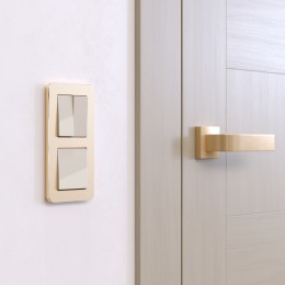 W0022611 Рамка на 2 поста (шампань) Platinum Werkel a059214