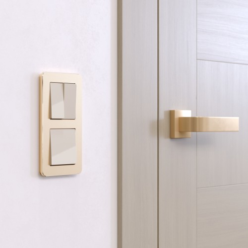 W0022611 Рамка на 2 поста (шампань) Platinum Werkel a059214