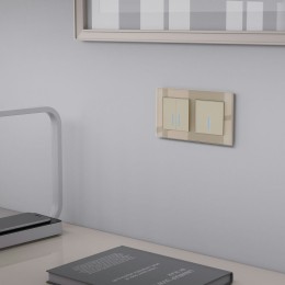 W4510011 Сенсорный выключатель одноклавишный с подсветкой 1000 Вт (шампань) Werkel a057682