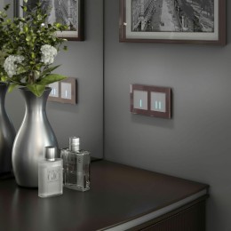 W4520006 Сенсорный выключатель двухклавишный с подсветкой 1000 Вт (серебряный) Werkel a057681