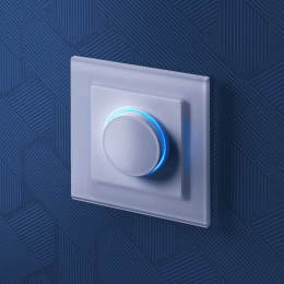 W1142101 Диммер с подсветкой (белый) Antik Werkel a051137