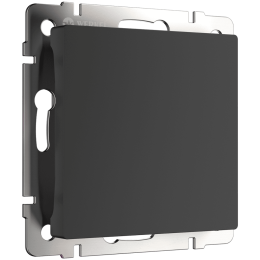 W1159208 Заглушка (черный матовый) Antik Werkel a051597