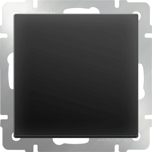 W1159208 Заглушка (черный матовый) Antik Werkel a051597