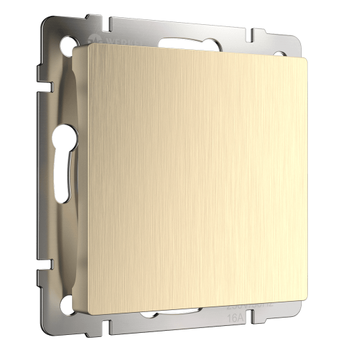 W1159210 Заглушка (шампань рифленый) Antik Werkel a051417