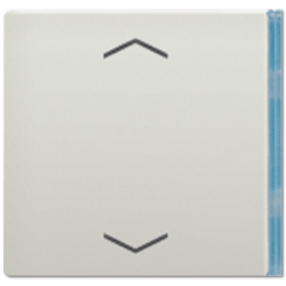 ES2404TSAP23 Клавиша со стрелками Jung LS серия