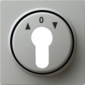 066442 Накладка выключателя с ключом для жалюзи Серый Gira S-color