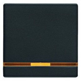 16216086 Клавиша выключателя Berker