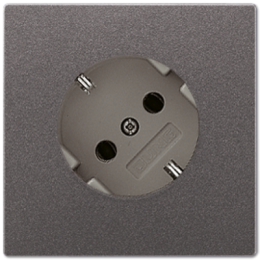 AL2520-45AN SCHUKO-розетка Jung LS серия